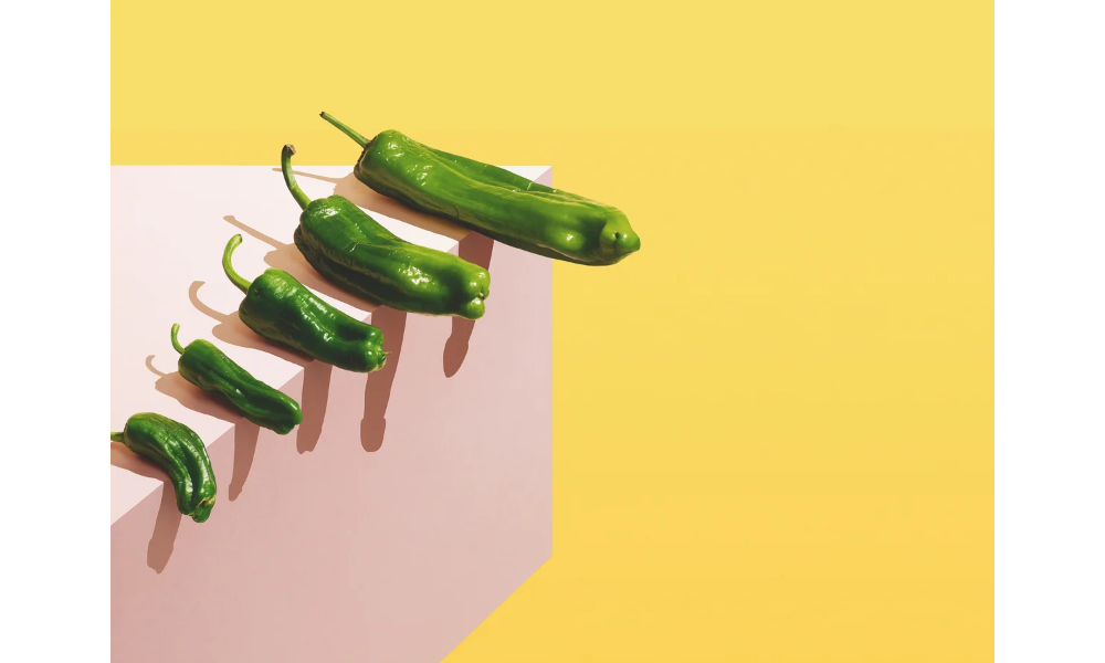 Penis Enlargement